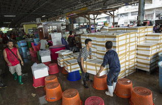 泰國海產(chǎn)加工廠雇黑工 每天工作16個(gè)小時(shí)